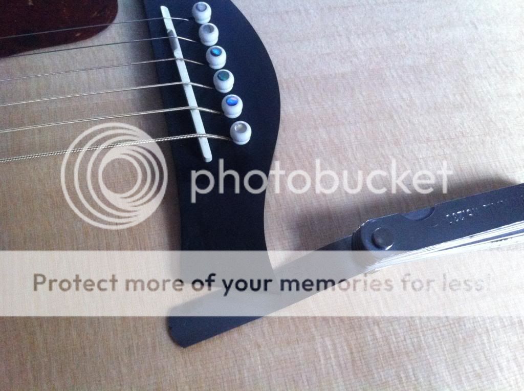 Taylor 214 Bridge Lifting The Acoustic Guitar Forum