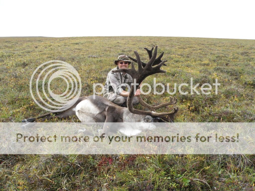2010 Alaska caribou hunt Long Range Hunting Forum