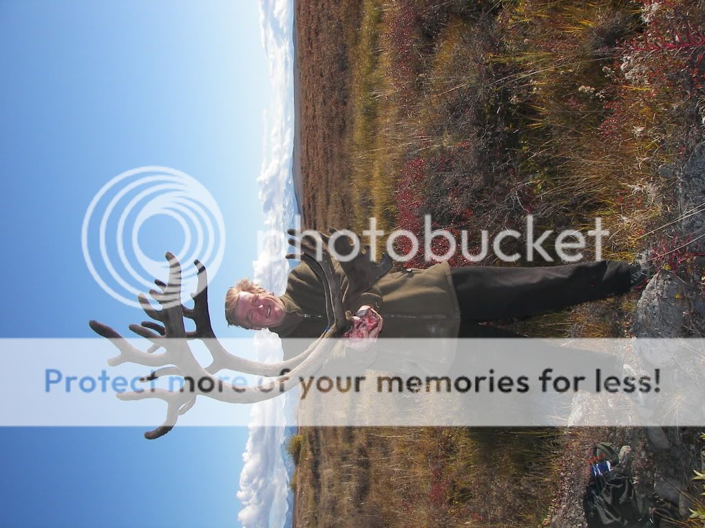 2010 Alaska caribou hunt Long Range Hunting Forum