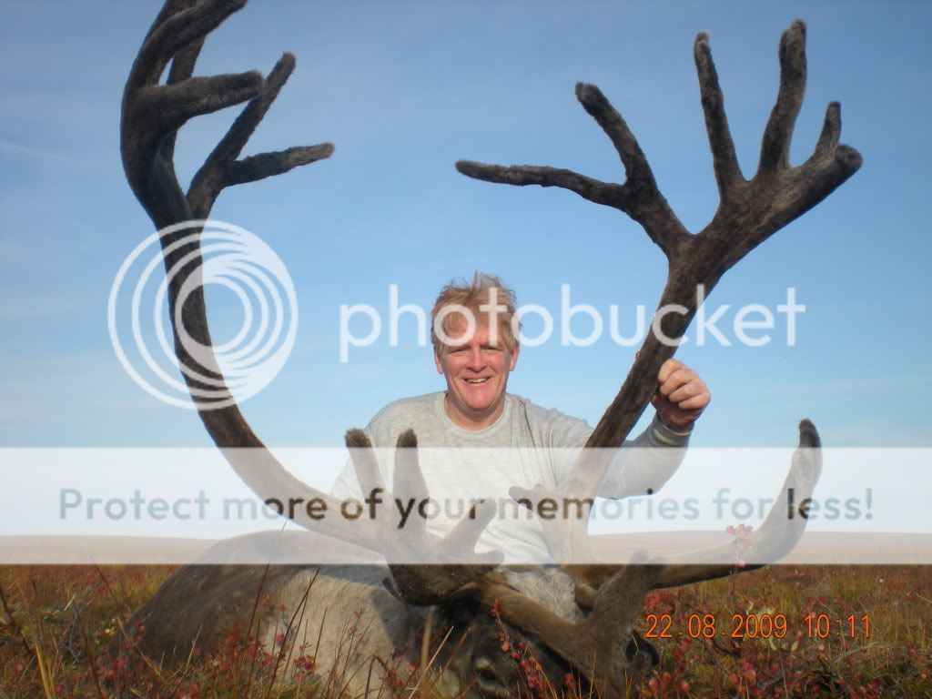 2010 Alaska caribou hunt Long Range Hunting Forum