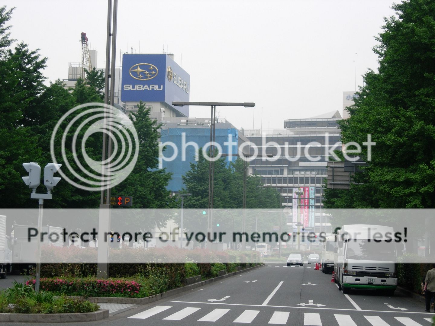 Posted Image