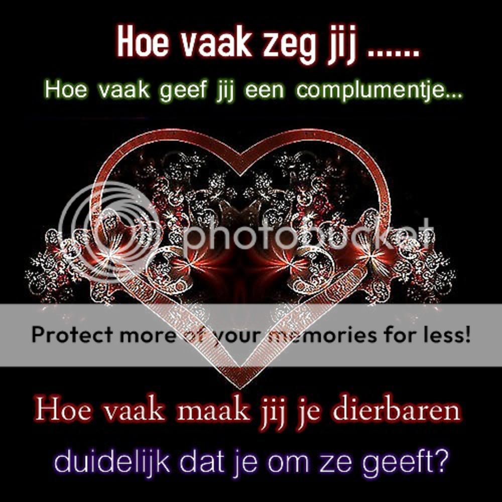 hoevaakzegjijachtergrondje.jpg hoe vaak zeg jij picture by thewonderofhyvespimps