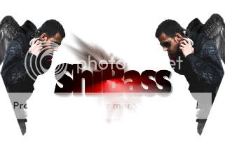 shibass-1.jpg