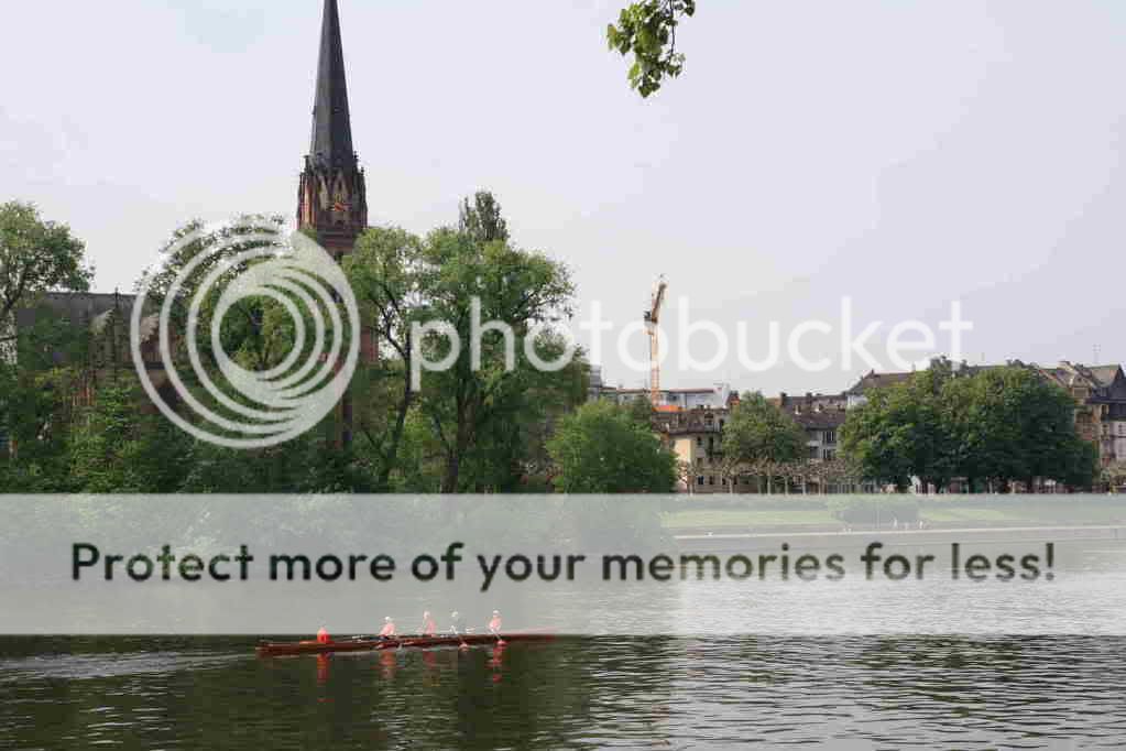 IMG_7779.jpg