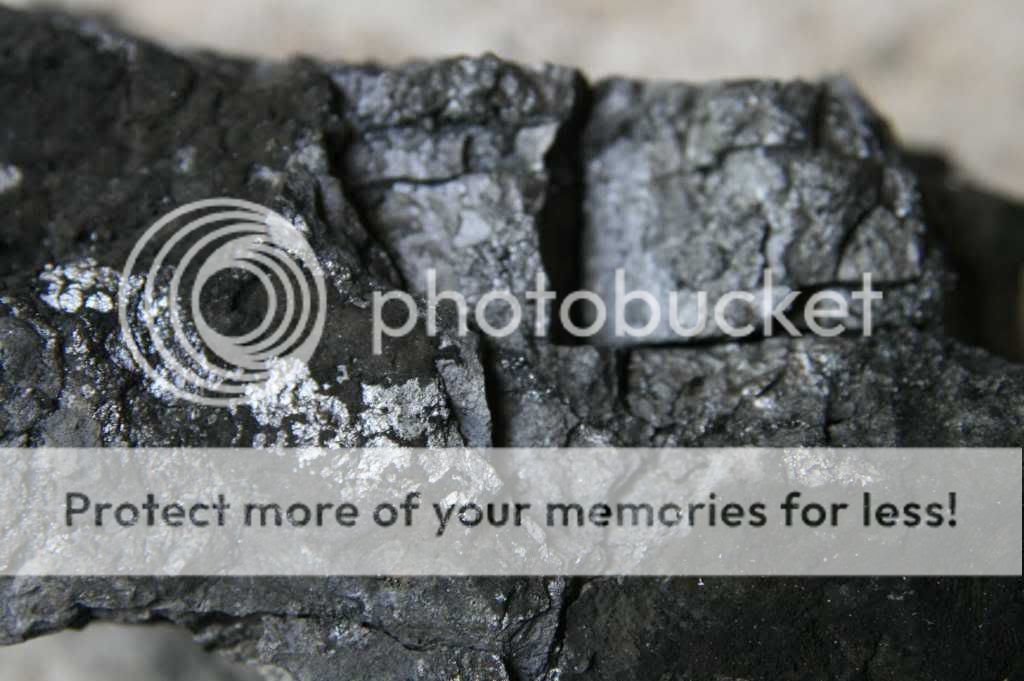 coal-4.jpg
