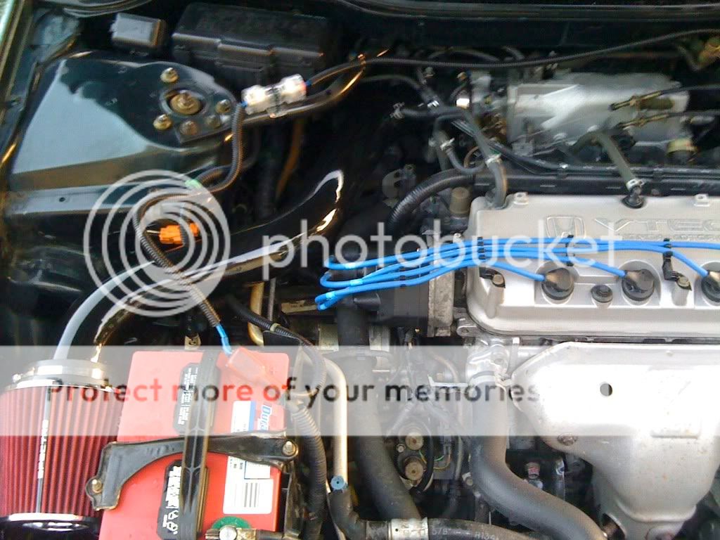 Simple Green engine bay cleaning. 6th Gen Accord DIY and Performance