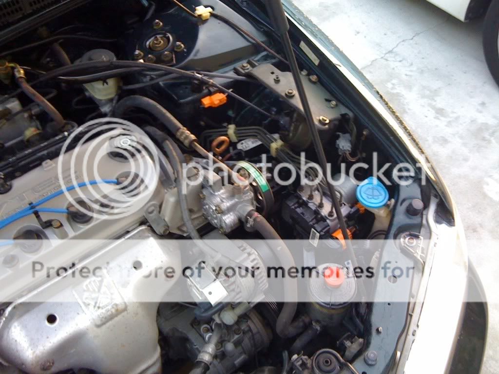 Simple Green engine bay cleaning. 6th Gen Accord DIY and Performance