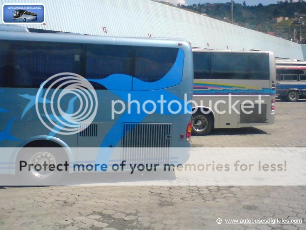 Autobuses Digitales Fest
