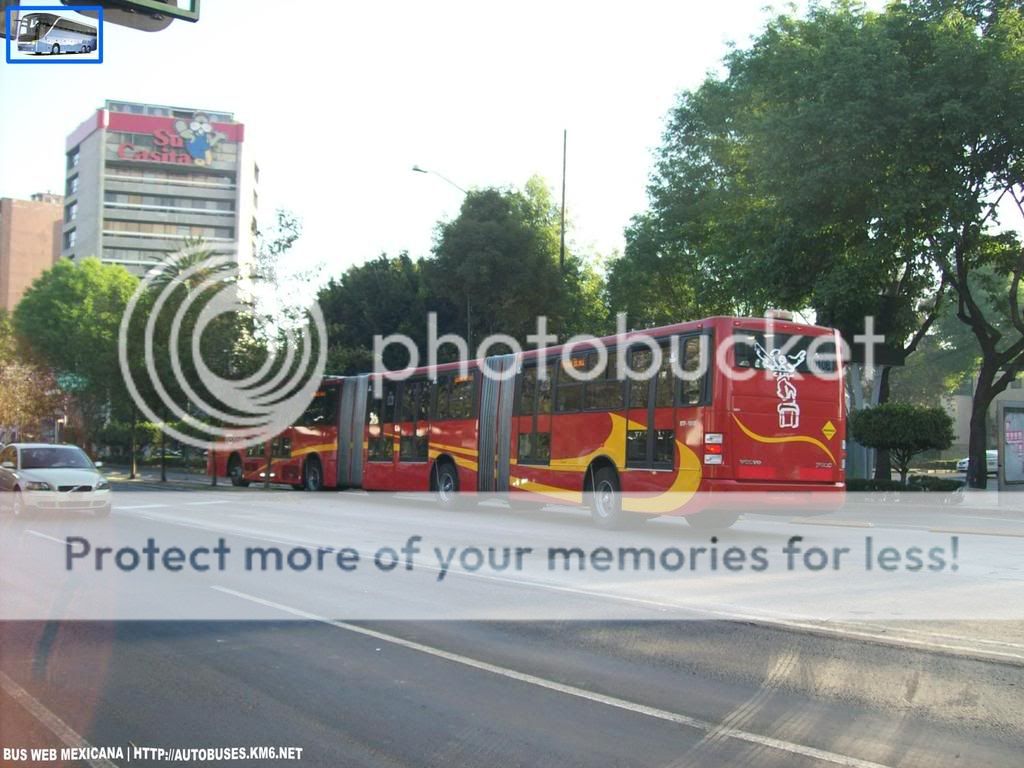 Autobuses Digitales Fest