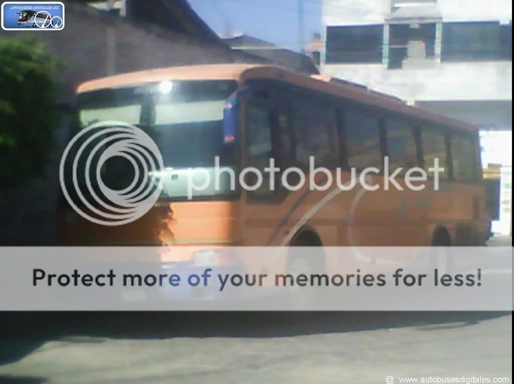 Autobuses Digitales Fest