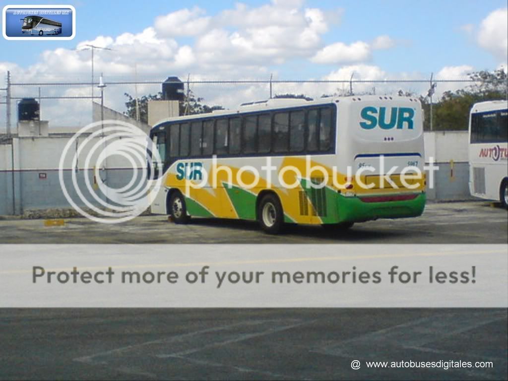 Autobuses Digitales Fest