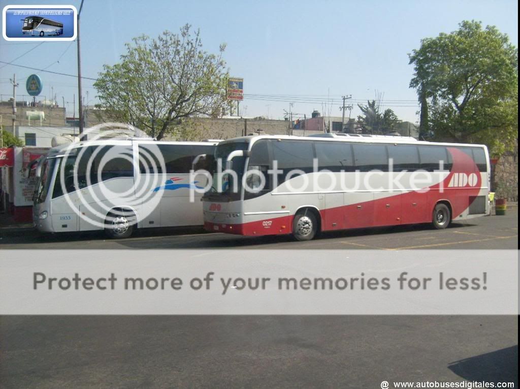 Autobuses Digitales Fest