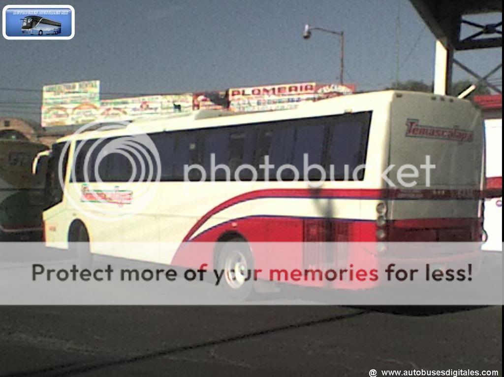 Autobuses Digitales Fest