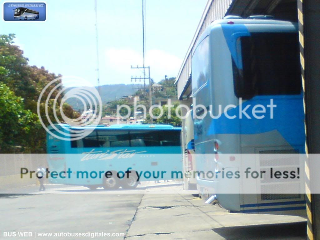Autobuses Digitales Fest