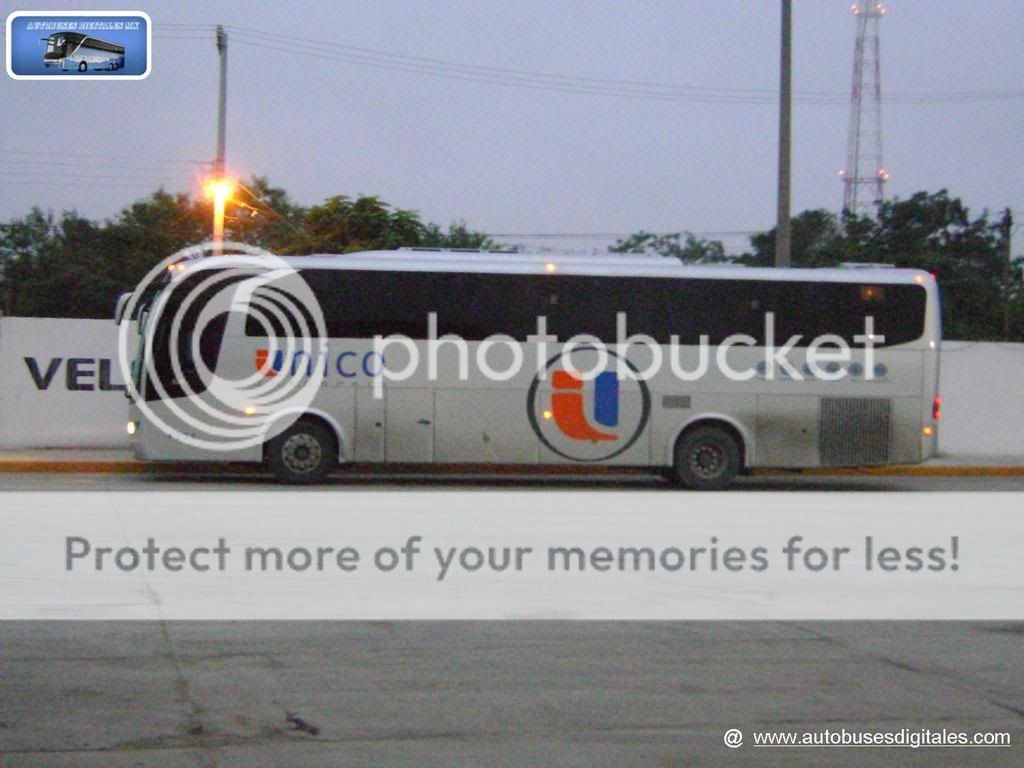 Autobuses Digitales Fest
