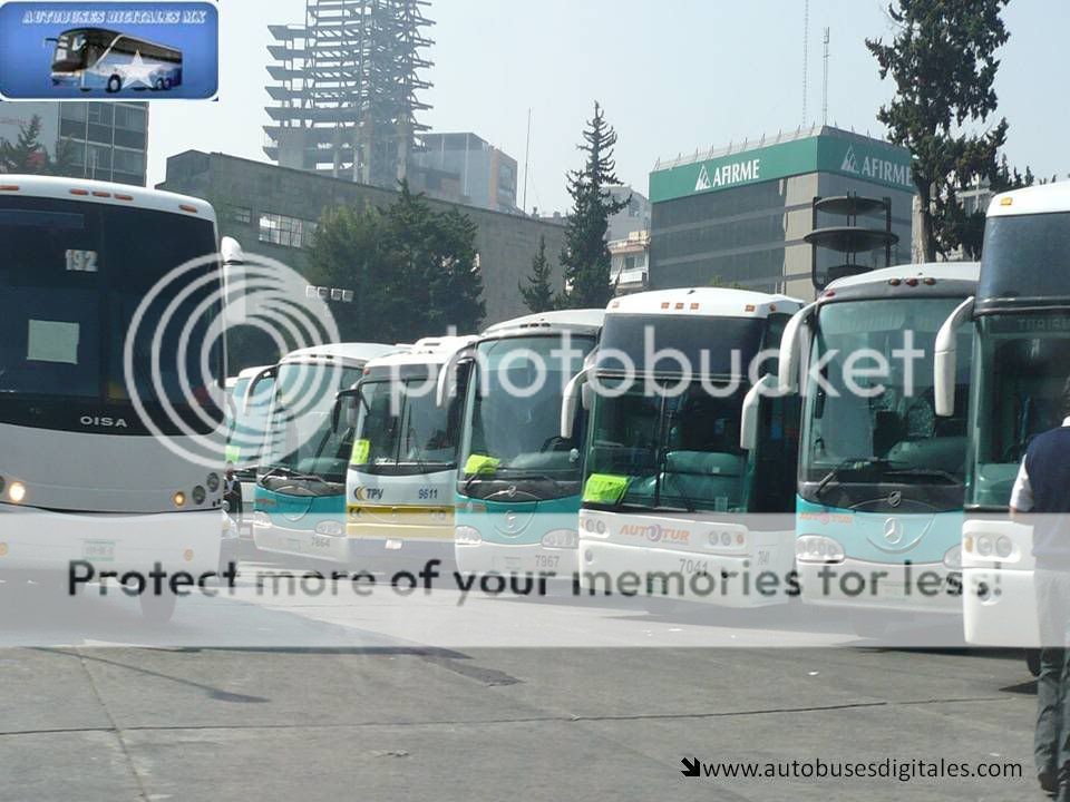 Autobuses Digitales Fest