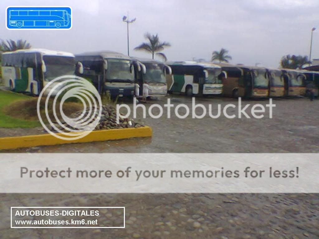 Autobuses digitales