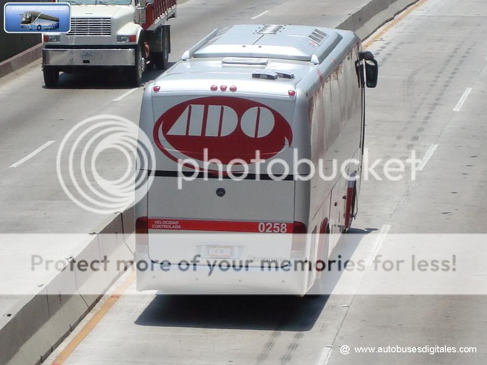 Autobuses Digitalest