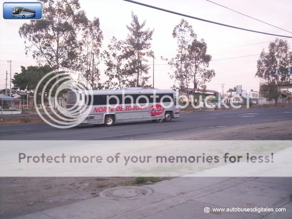 Autobuses Digitalest