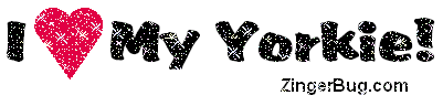 I Love My Yorkie Pictures, Images and Photos